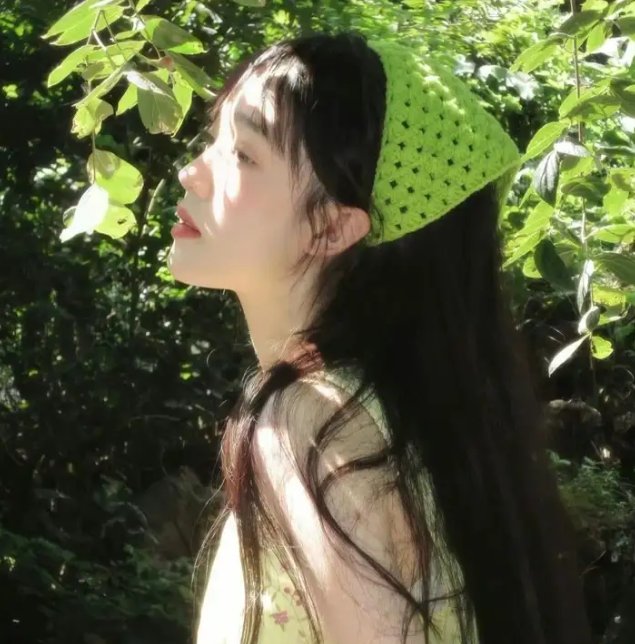 铿锵玫瑰